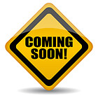 Frühjahrslauf Groß-Gerau 14.02.26