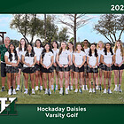 Varsity Golf