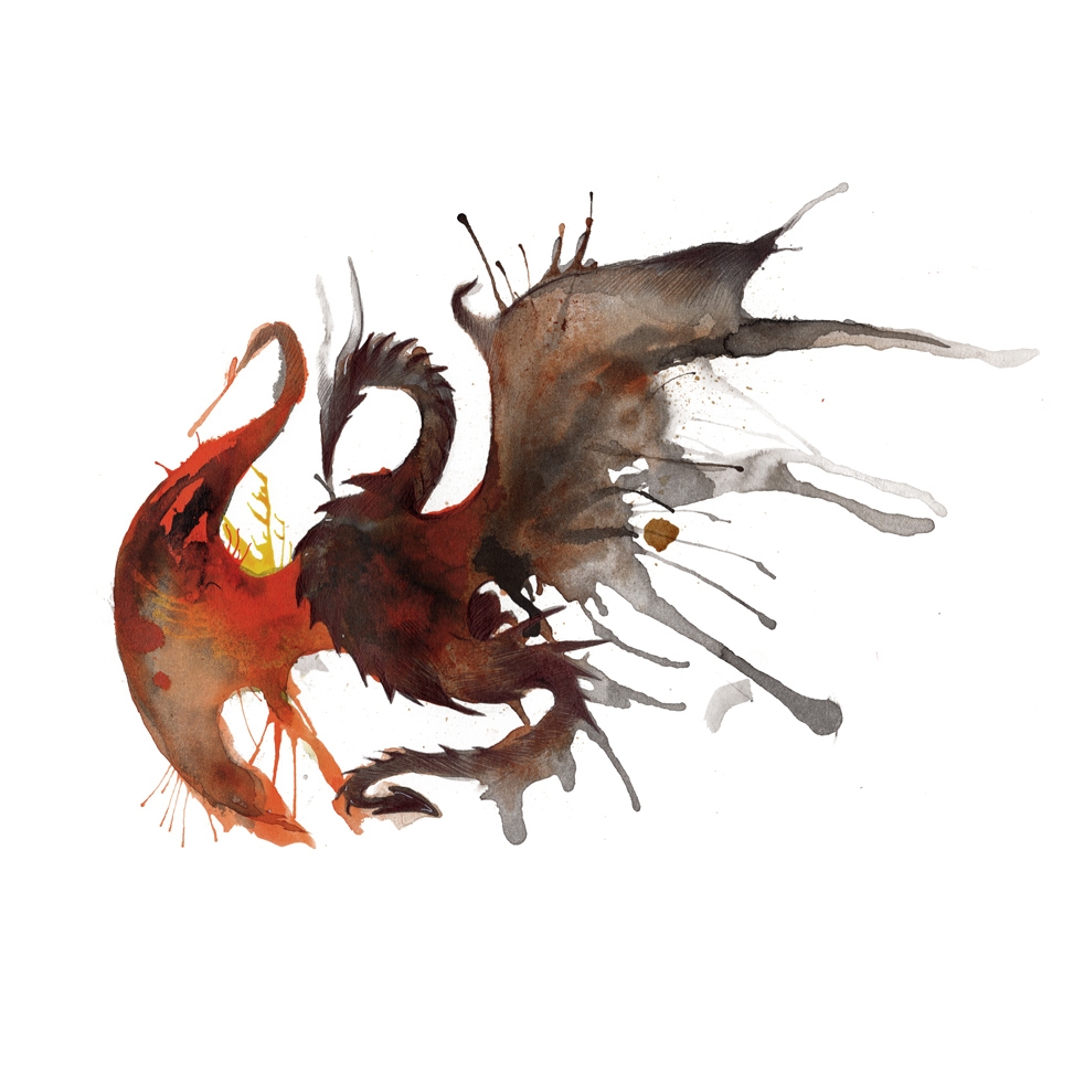 Little Dragon Photography