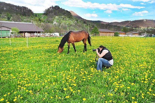 576363_10150889192567985_1442363674_n