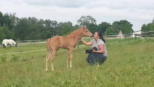 971106_10151784783632985_764928870_n