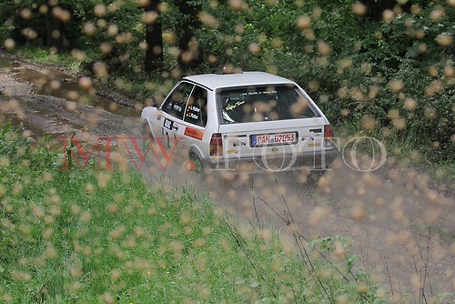 Rallye (8 von 332)