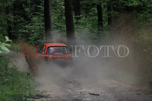 Rallye (18 von 332)
