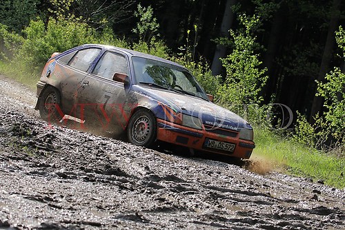 Rallye (228 von 332)