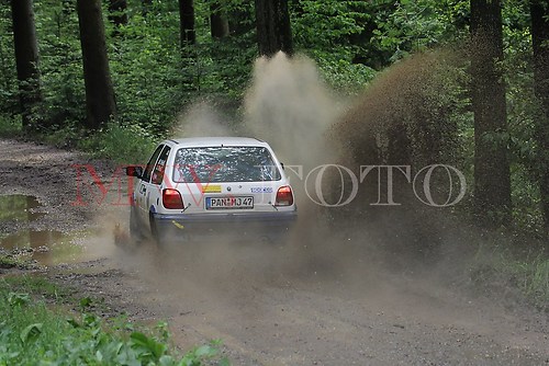 Rallye (39 von 332)