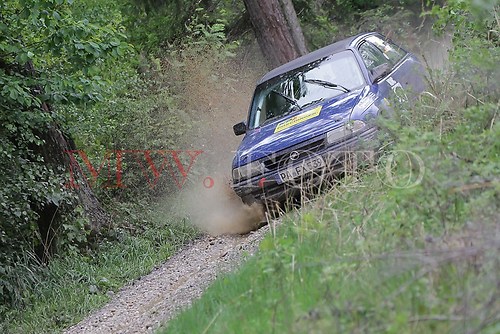 Rallye (78 von 332)