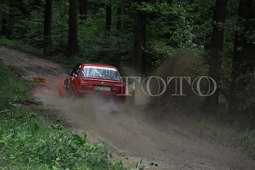 Rallye (84 von 332)