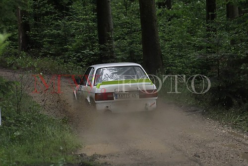 Rallye (102 von 332)