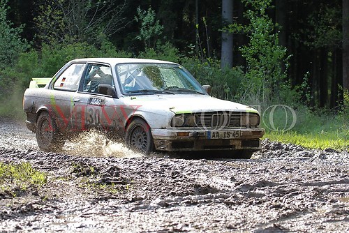 Rallye (259 von 332)