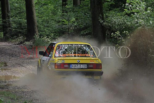 Rallye (124 von 332)