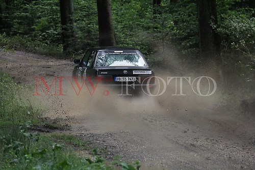 Rallye (138 von 332)