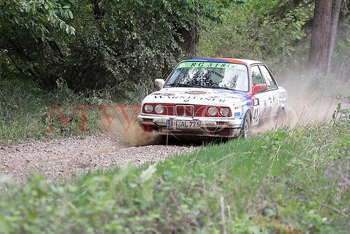Rallye (139 von 332)
