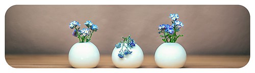 20140425_a_shop_startseite_1_weiss