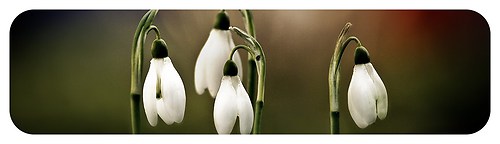 20140414_a_shop_startseite_8_weiss