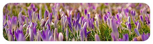 20140414_a_shop_startseite_5_weiss