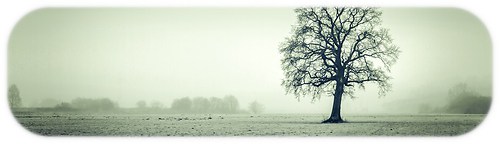 20140119_IMG_3896-Bearbeitet-2-Bearbeitet