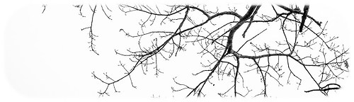 20140119_IMG_3760-Bearbeitet