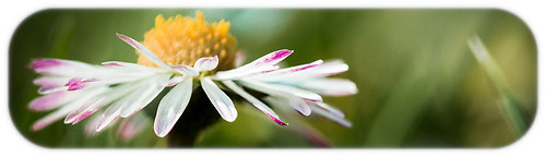 20140327_BW8A0616-Bearbeitet