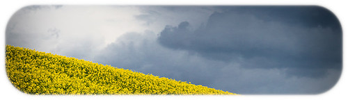 20140414_BW8A3406-Bearbeitet