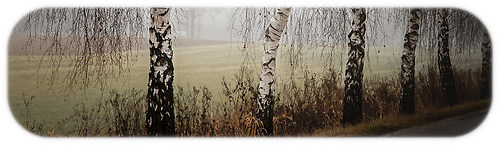 20140119_IMG_3914-Bearbeitet-Bearbeitet-Bearbeitet