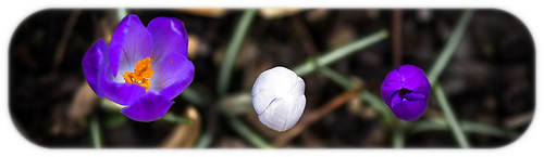 20140304_BW8A8858-Bearbeitet-Bearbeitet-Bearbeitet