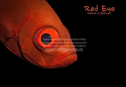 Red Eye-