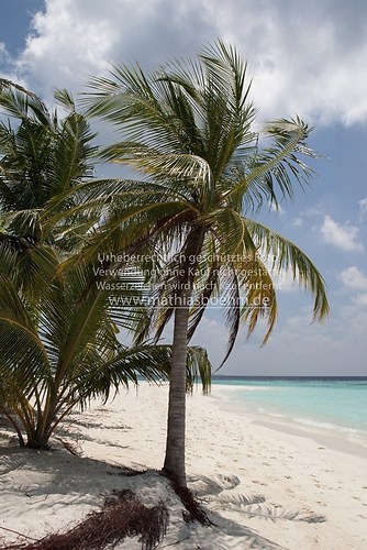 Reiseimpressionen Malediven-2861