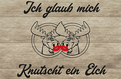 Fotoprops knutscht ein elch