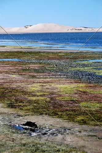 DSC_0481