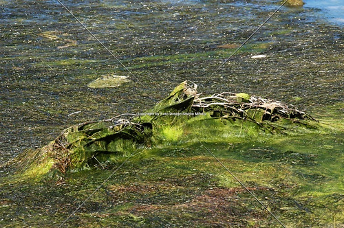 DSC_0500