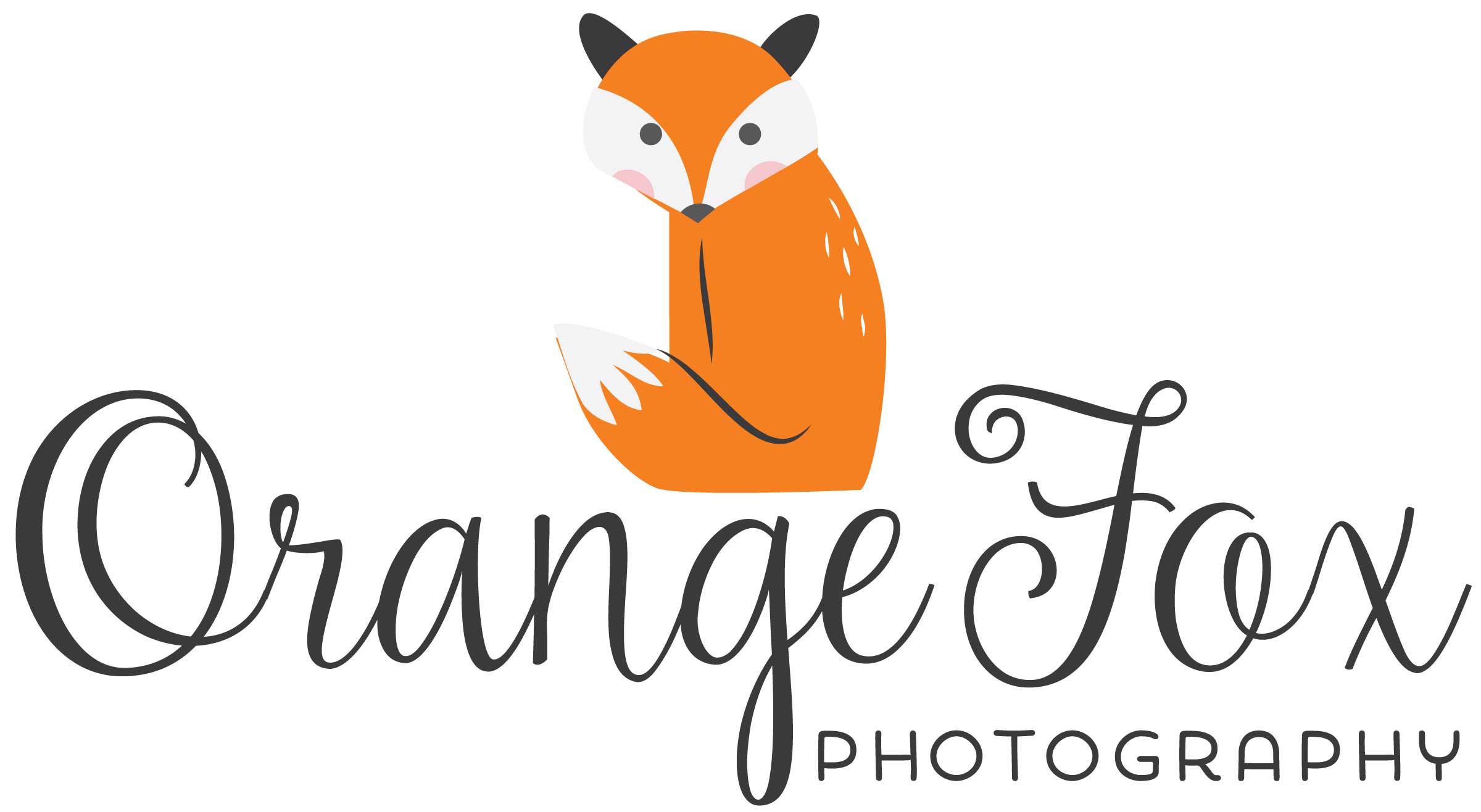Orange Fox Photography