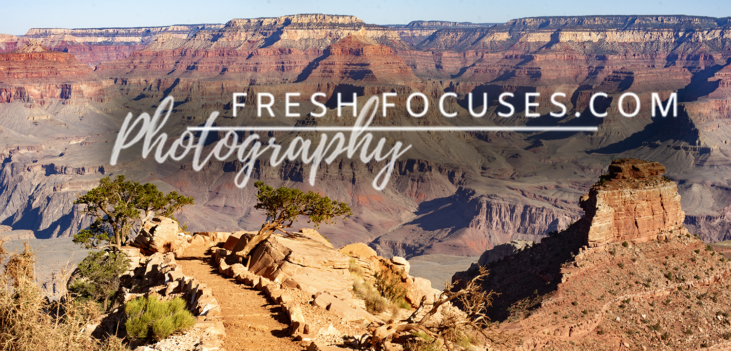 Fresh Focuses Photography - Veronica Tierney | Flagstaff, AZ