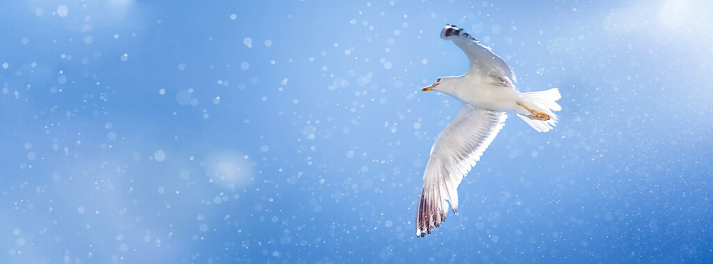 _AK21125-slider-web