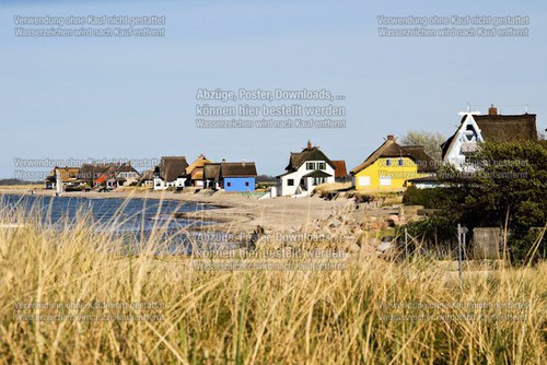 IMG_0163-1 - Bearbeitet