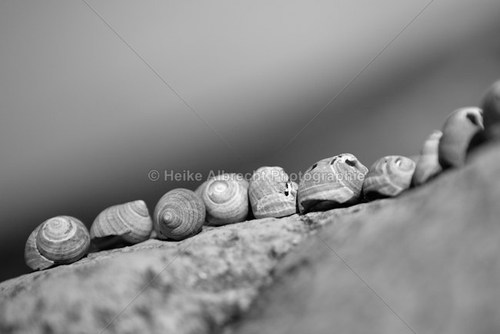 IMG_MB-73-Bearbeitet