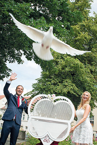 Hochzeitsfotografie-Berlin