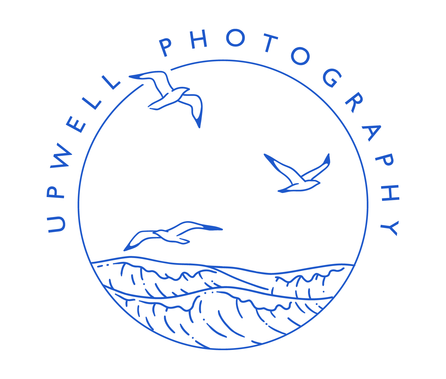 Upwell Photography