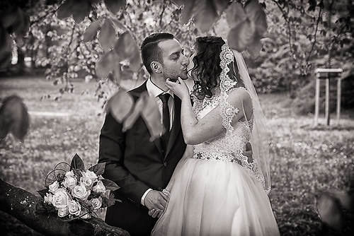 Le Fotografie Home Facebook