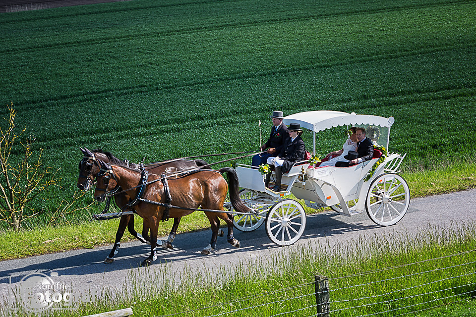 FB-Hochzeit Oldenburg-3