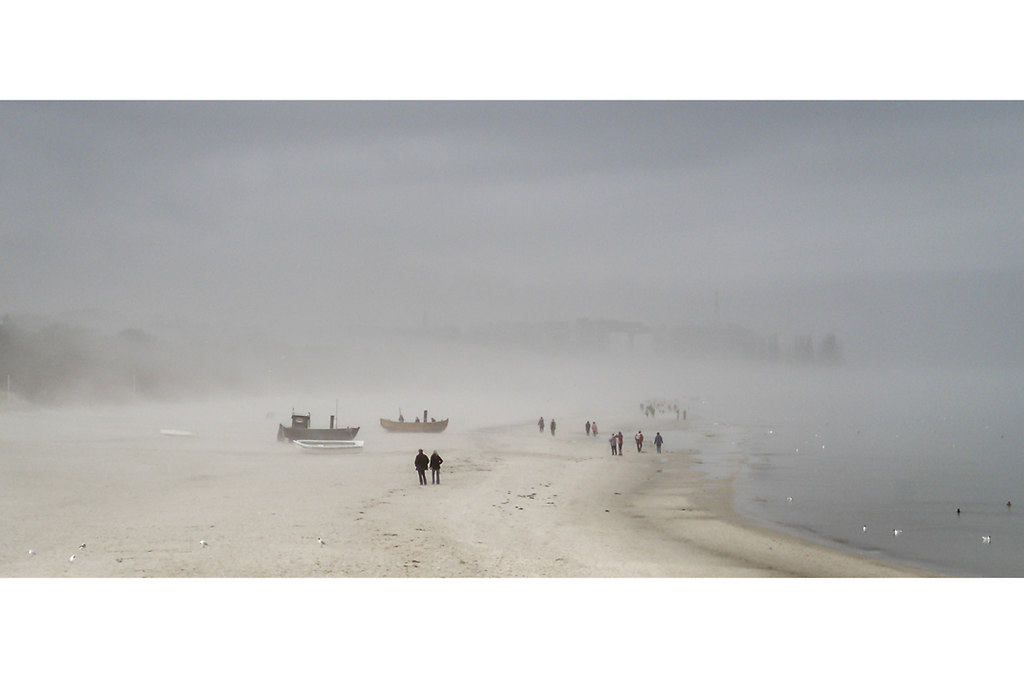 | OLYMPUS DIGITAL CAMERA