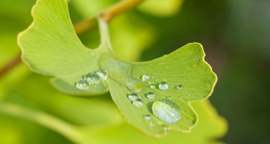 Natur01