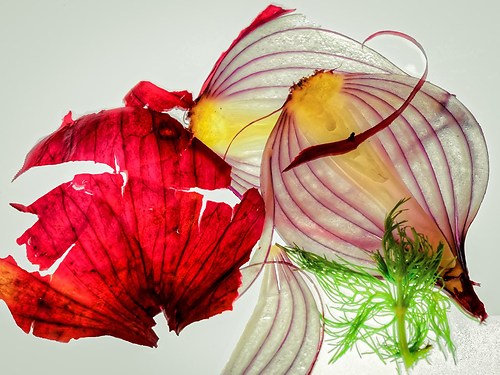 Red Onions