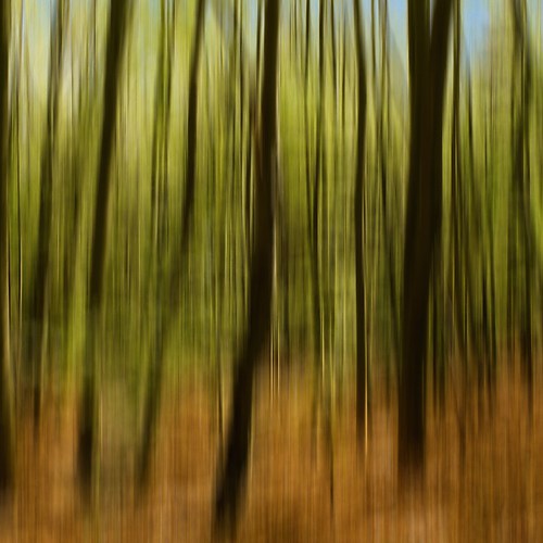 Wald-Methode2