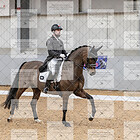 Class 20 PSG Gold Part 2