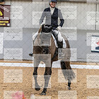 Class 9 Elementary Silver