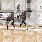 Class 9 Elementary Silver Part 2