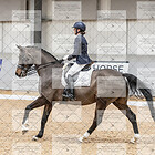 Class 17 Advanced Medium Silver Part 2