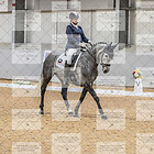 Class 6 Novice Gold Part 2