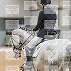 Class 14 Medium Gold