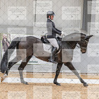 Class 13 Medium Silver